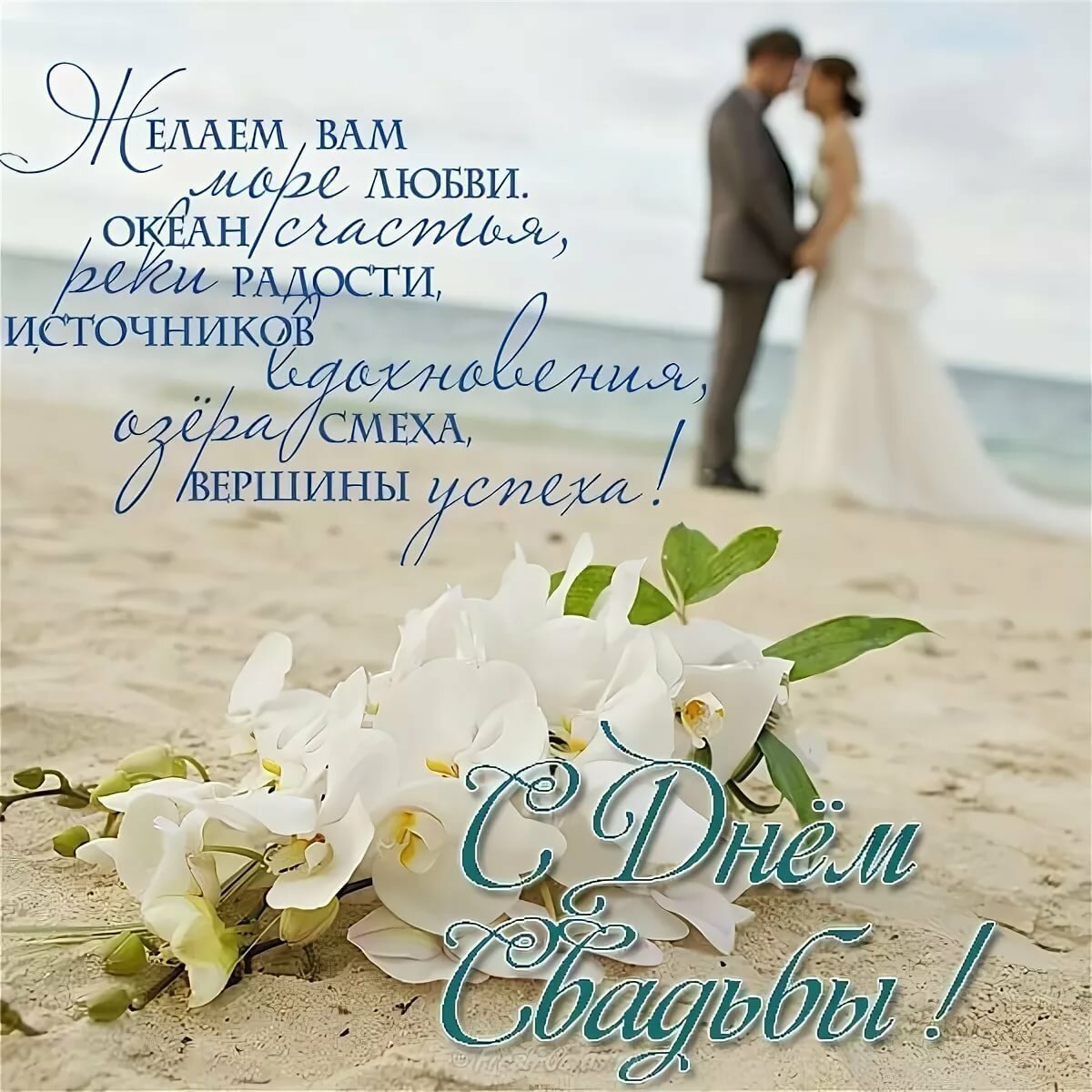 Поздравления со свадьбой в стихах красивые короткие » короткие поздравления