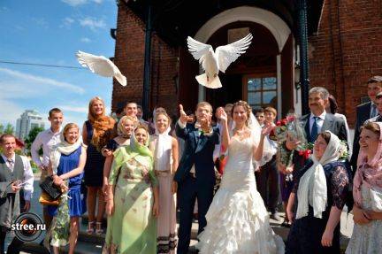 Голуби на свадьбе - традиции, приметы и запуск птиц