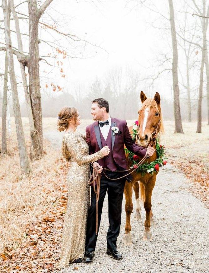 Свадебная фотосессия с лошадьми, собаками - фото и видео пример